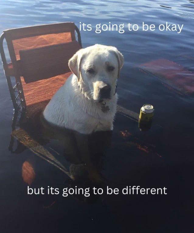 Meme em que um labrador amarelo está sentado em uma cadeira de praia parcialmente submersa no que parece ser um rio ou o mar. Ele tá com uma cara triste e tem uma latinha de cerveja fechada no seu lado. O texto é: "it's going to be okay, but it will be different"