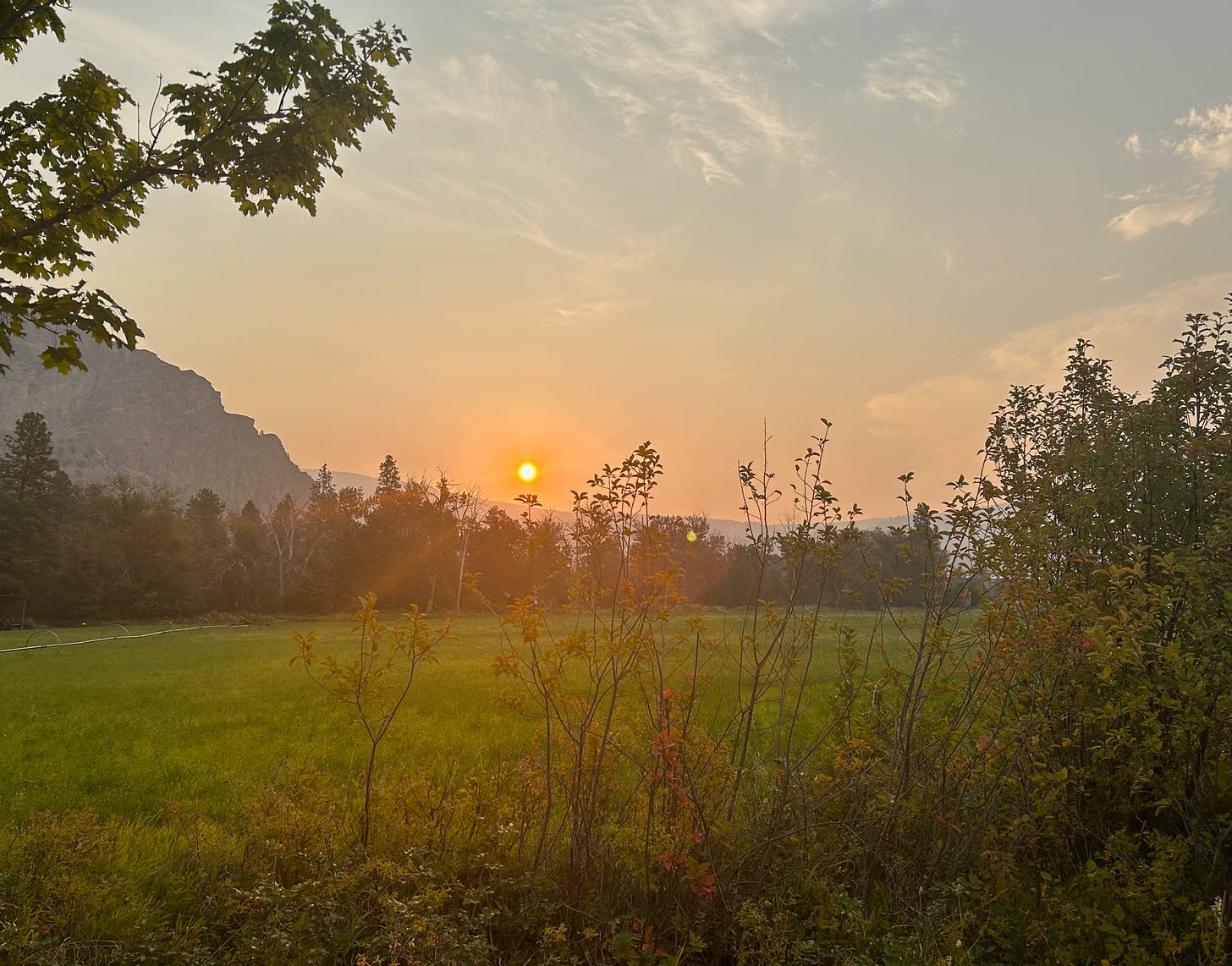 A red sunrise, due to wildfire smoke, over a hayfield on a September morning. There is a bluff in the back left of the photo, and a row of trees at the rear. In the foreground, a row of shrubs begins to blush with the season's colours.