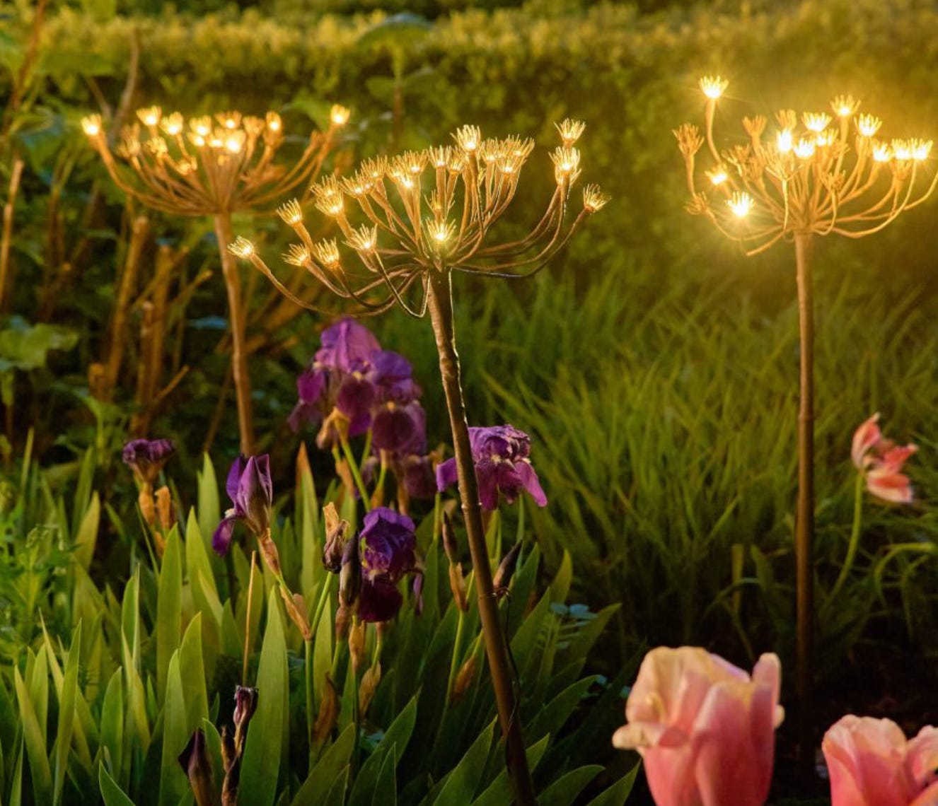 fennel shaped outdoor lights