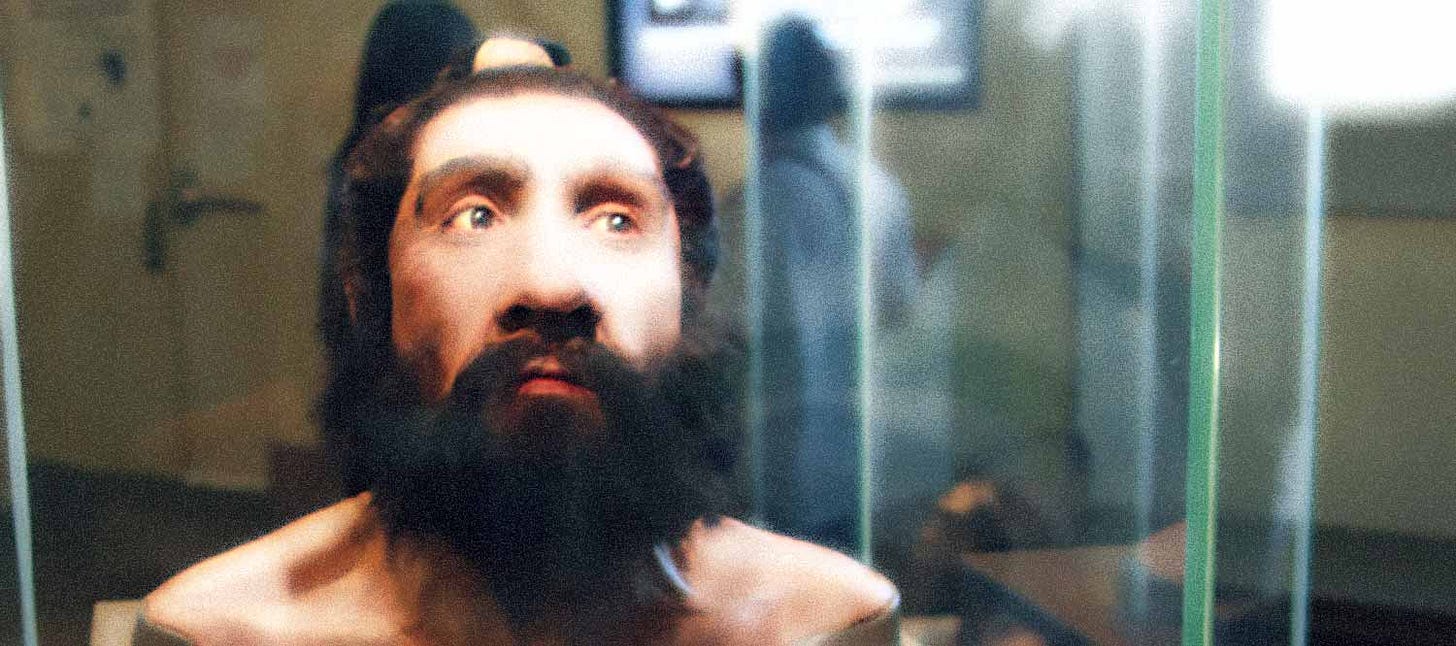 Bust of a Neanderthal with ponytail Bust of a Neanderthal with ponytail