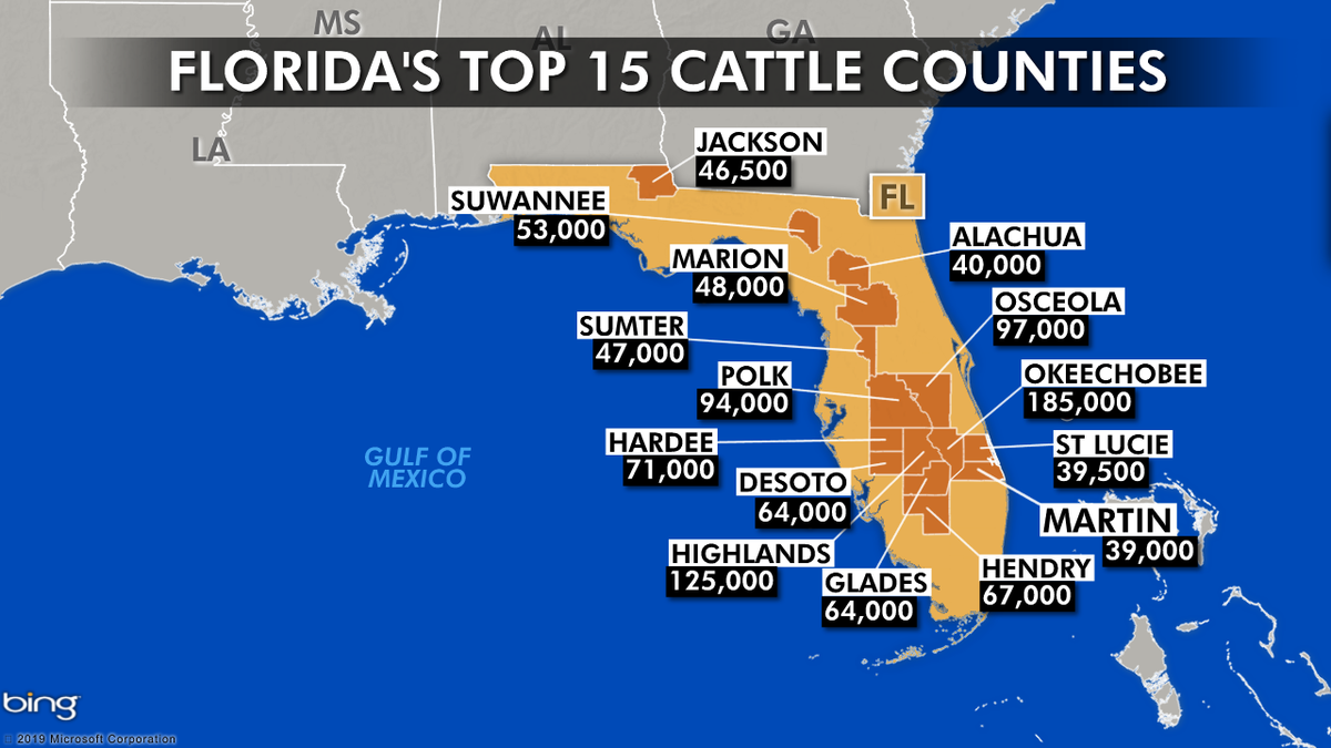 Florida's top 15 cattle counties include Okeechobee, Highlands and Polk county