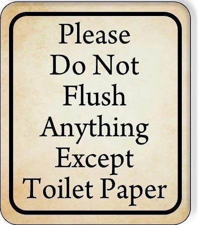 Please Do Not Flush Anything Except Toilet Paper