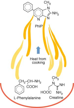 All About Cooking & Carcinogens