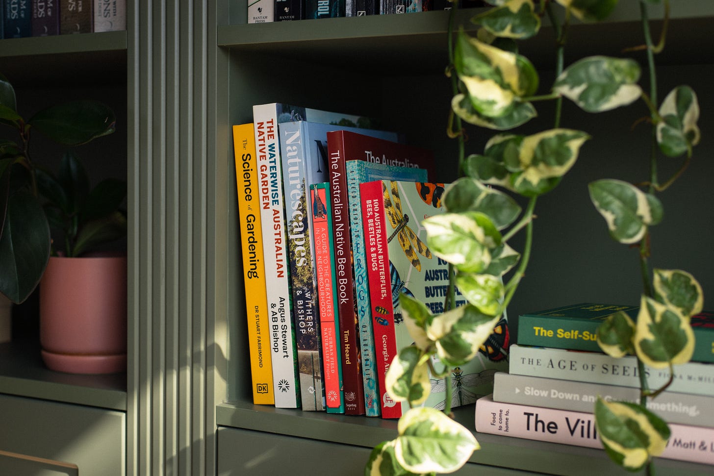 gardening books gardening books