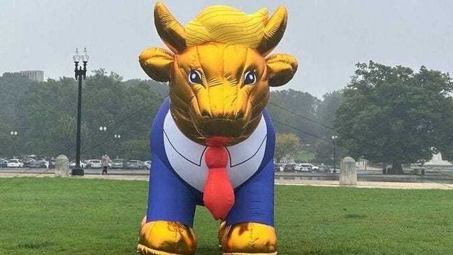 SEE IT: Trump-like golden calf in the National Mall protests upcoming  evangelical summit