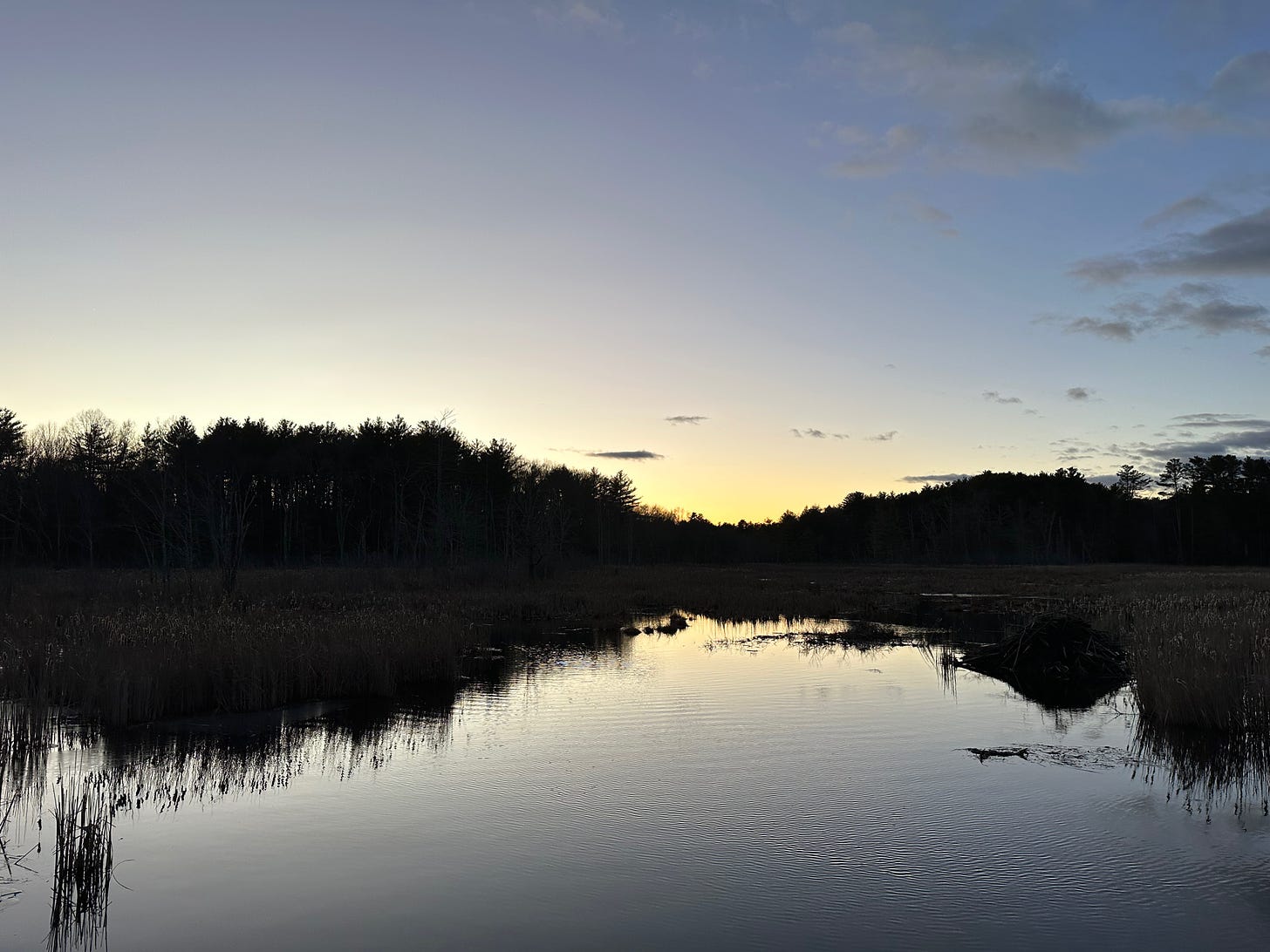 The sun is almost completely set between a silhouette of black forest, the sky moving from deep gray-blue at the top of the image, to white, to yellow sunk behind the trees. Breezes ripple an otherwise still pond along the bottom half of the image.