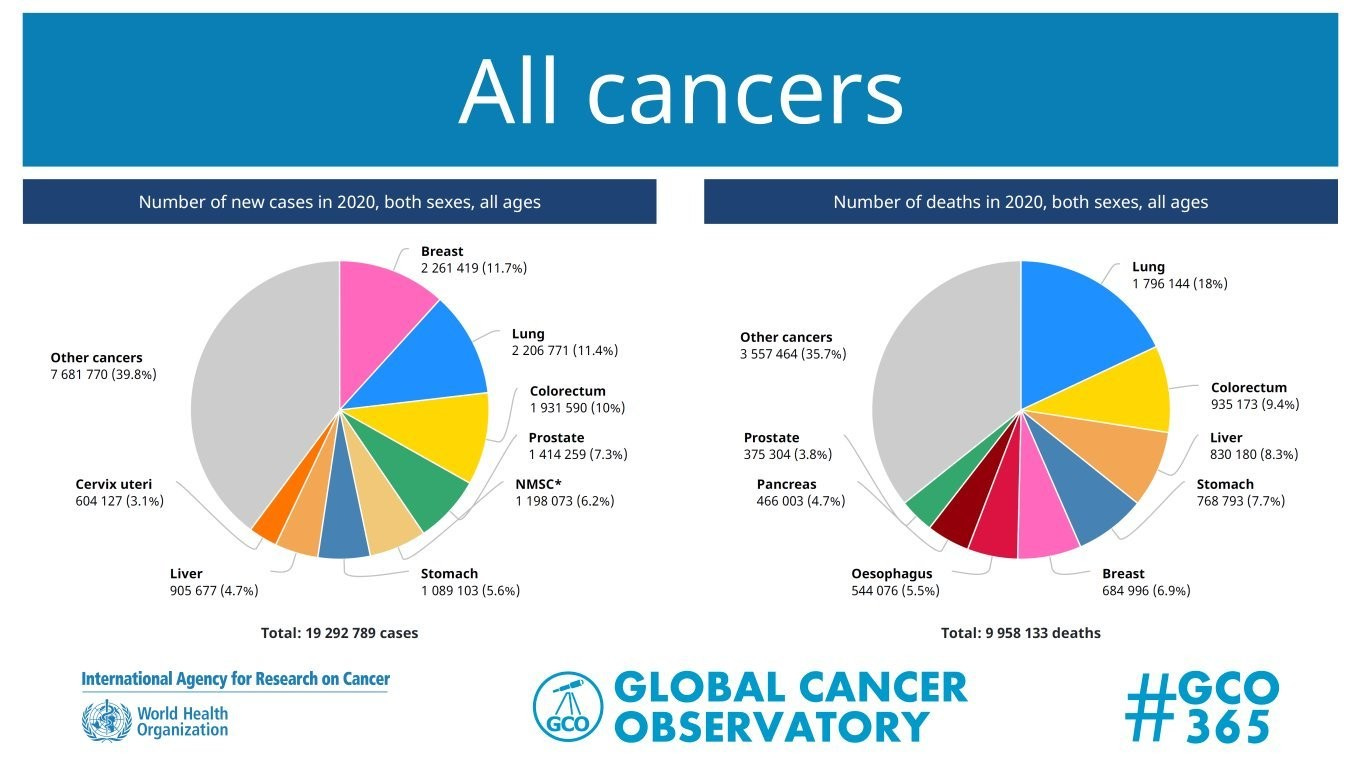 Scientists establish link between air pollution and lung cancer | World ...