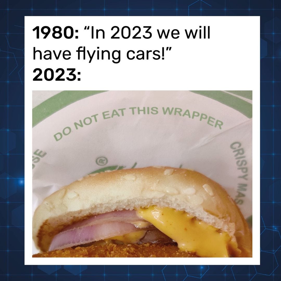 May be an image of chicken sandwich, burger and text that says '1980: "In 2023 we will have flying cars!" 2023: NOT NOT EAT THIS WRAPPER DO SE CRISPY SVW'