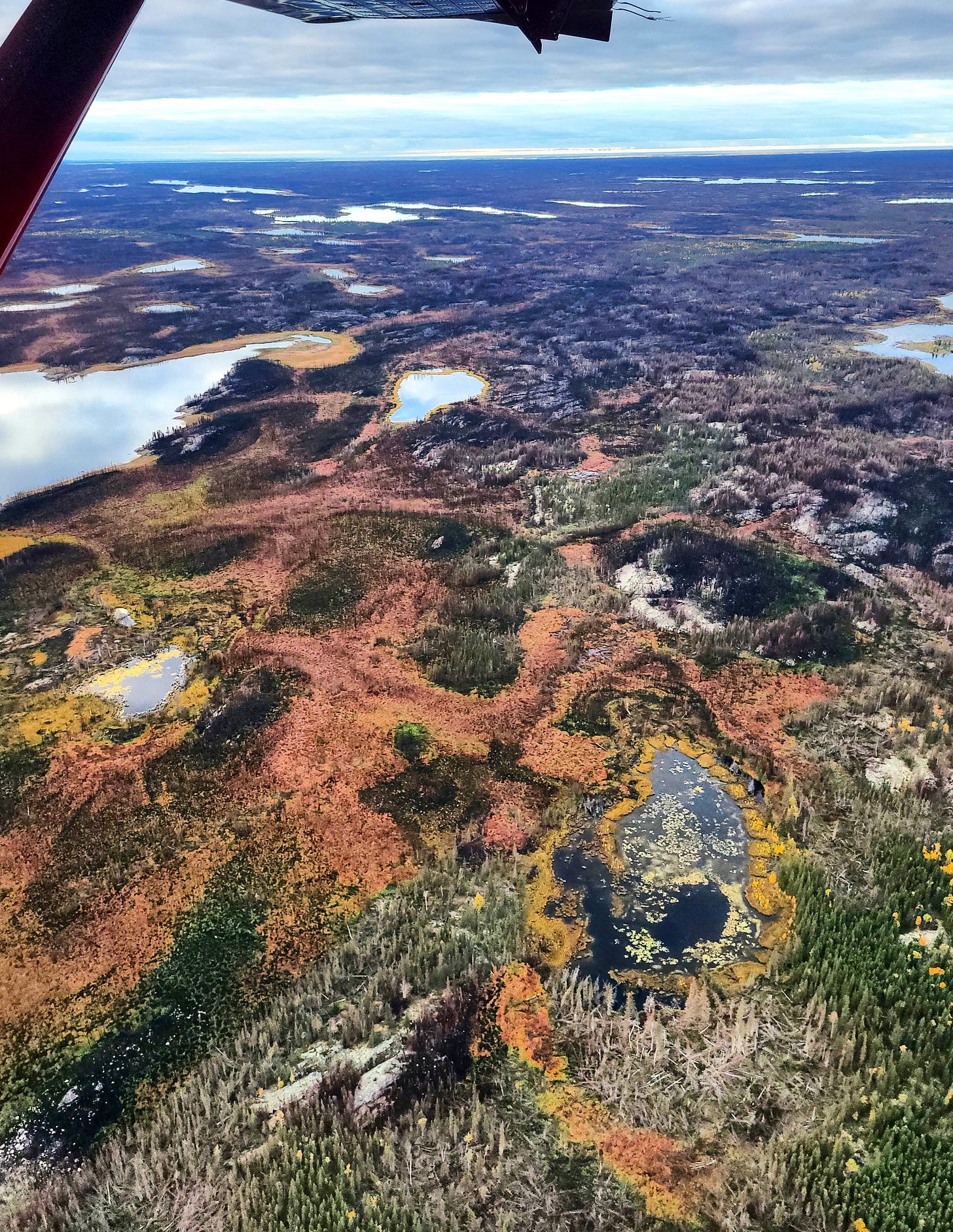 A shot from the float plane. Small lakes dot a pink and green landscape. The top third of the image is mostly forest blackened by fire.