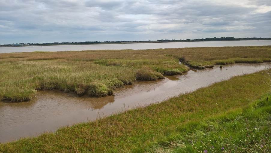 A water channel in a grassy area

AI-generated content may be incorrect.