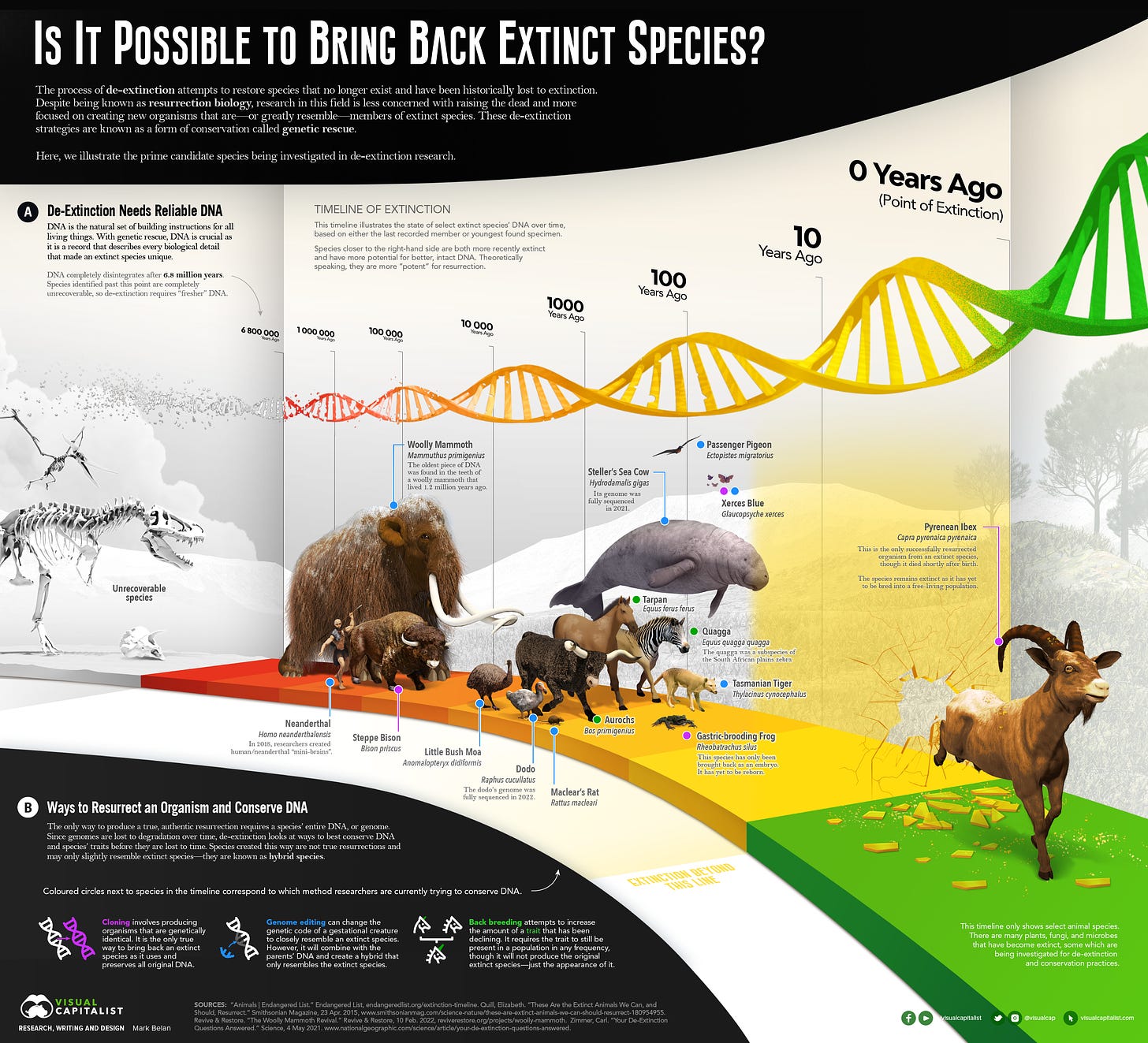 Infografía sobre la desextinción de especies