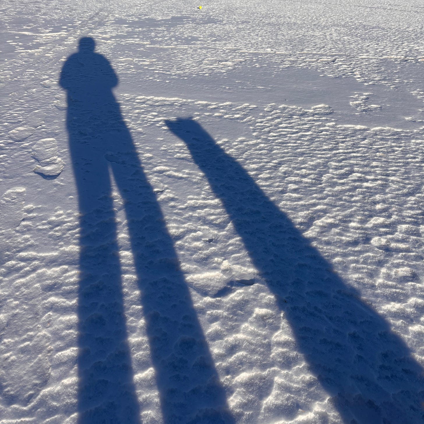 shadow of woman and dog on bright snow