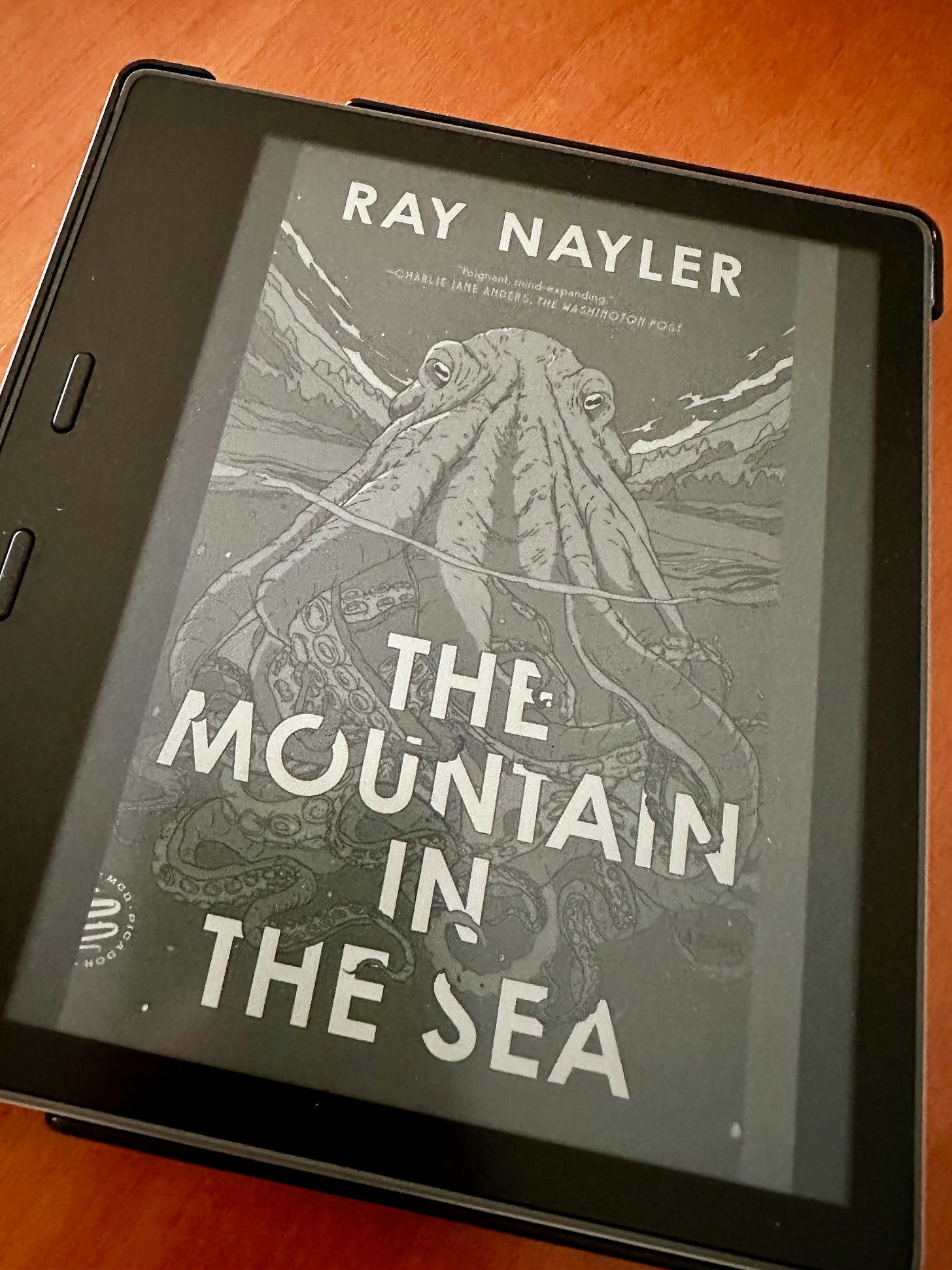 Novel by Ray Nayler: The Mountain in the Sea