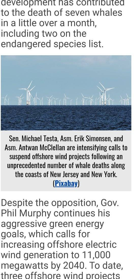 May be an image of text that says 'development nas contributed to the death of seven whales in a little over a month, including two on the endangered species list. Sen. Michael Testa, Asm. Erik Simonsen, and Asm. Antwan McClellan are intensifying calls to suspend offshore wind projects following an unprecedented number of whale deaths along the coasts of New Jersey and New York. (Pixabay) Despite the opposition, Gov. Phil Murphy continues his aggressive green energy goals, which calls for increasing offshore electric wind generation to 11,000 megawatts by 2040. To date, three offshore wind proiects'