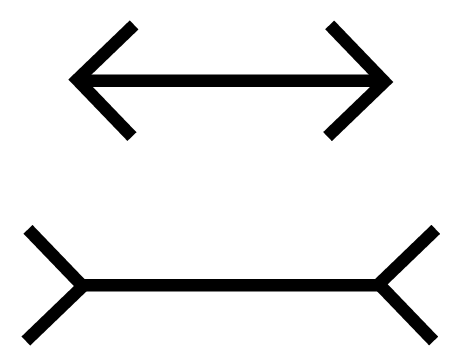 Müller-Lyer illusion - How Emotions Are Made