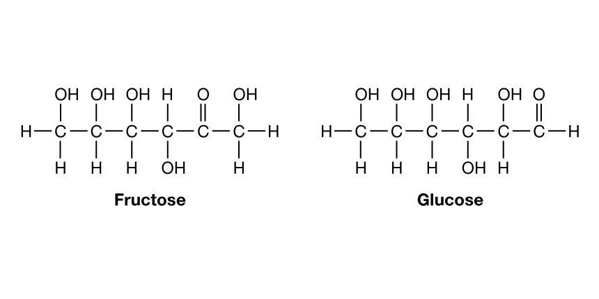 Monosaccharide | Carbohydrate, Sugar, Glucose | Britannica