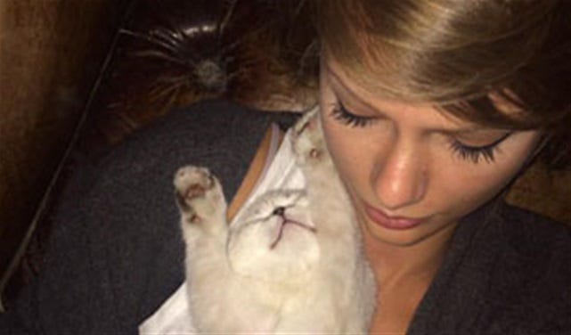 Taylor Swift Misses Her Cats! – Total Girl