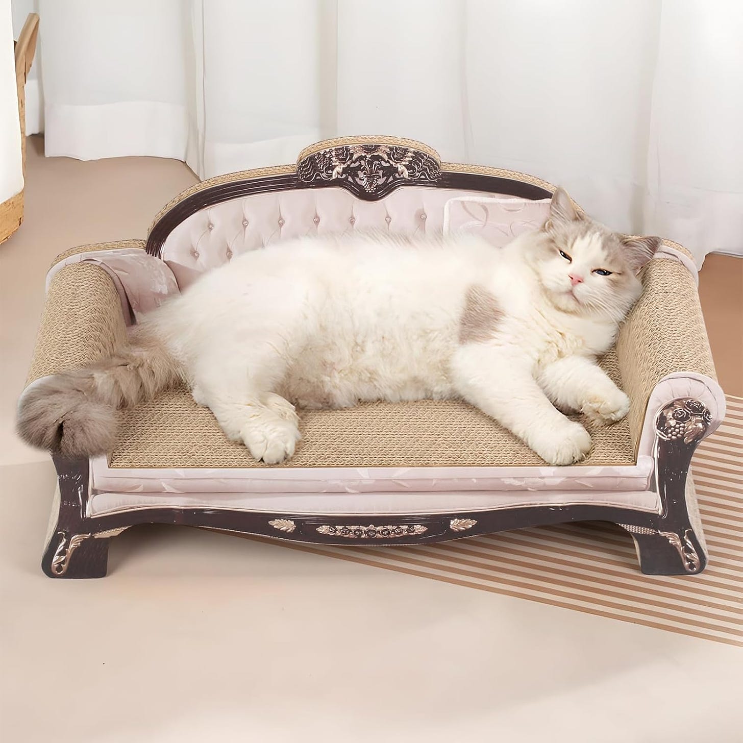 Cat Couch Cat Sofa Cat Scratcher Bed Cat Scratcher Kuwait | Ubuy