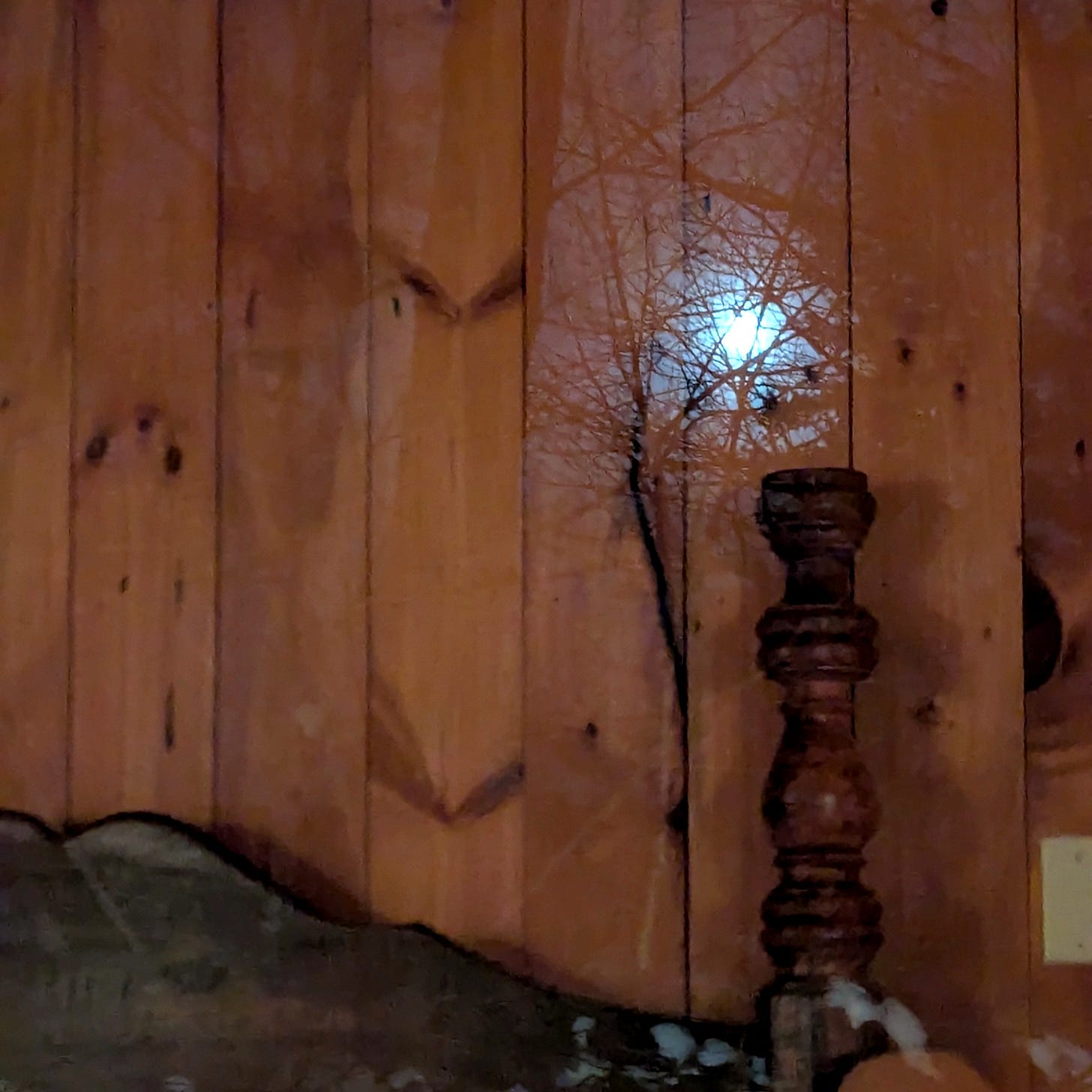 A photo of the full moon's reflection through tree branches shining into my bedroom onto the wooden wall, with a wooden bedframe below it.