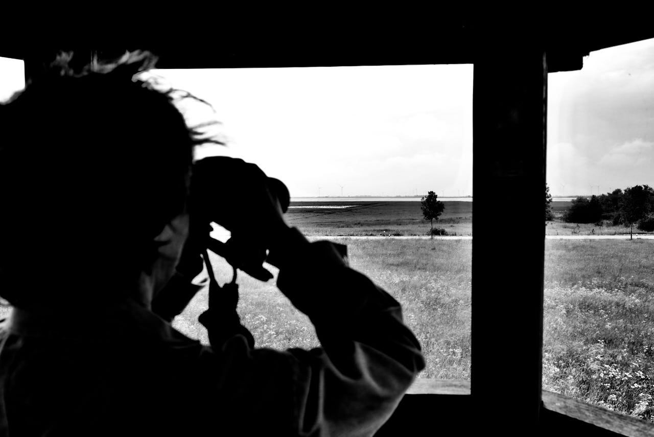 Bird watching