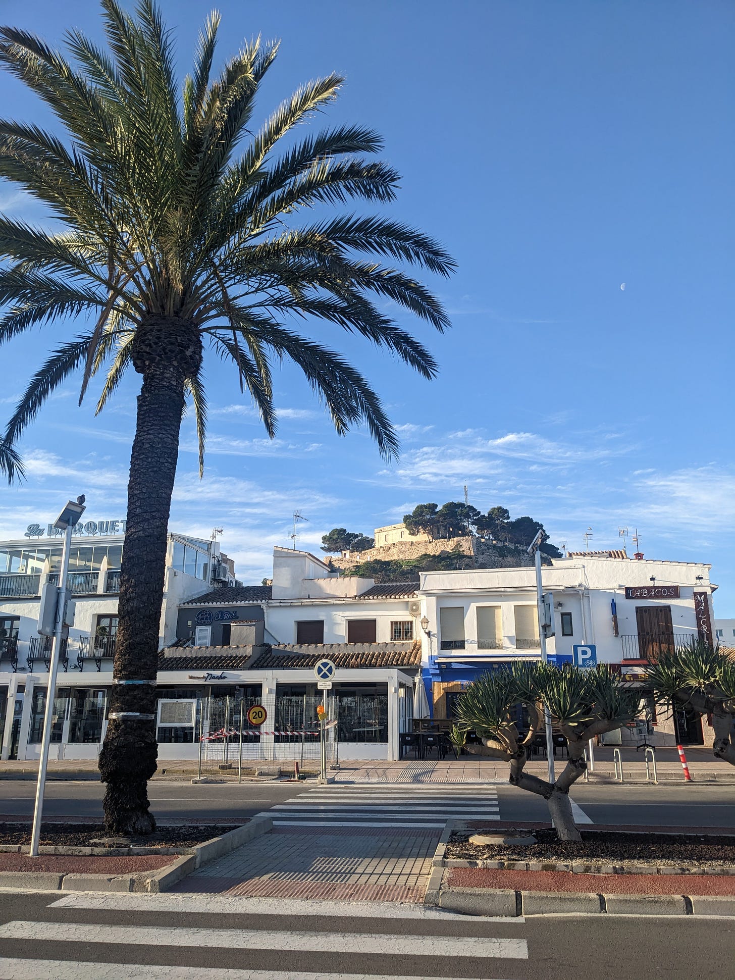 photo of the seaside area of Dénia, with a palm tree in the foreground, buildings in the midground, and a castle on a hill in the background.