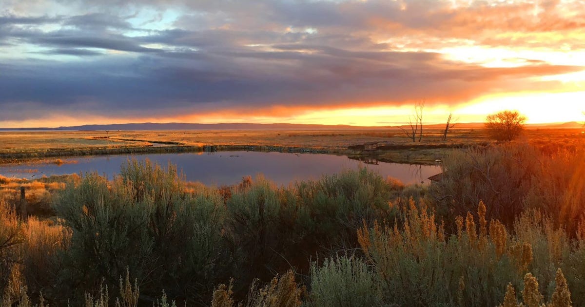 Malheur National Wildlife Refuge | U.S. Fish & Wildlife Service