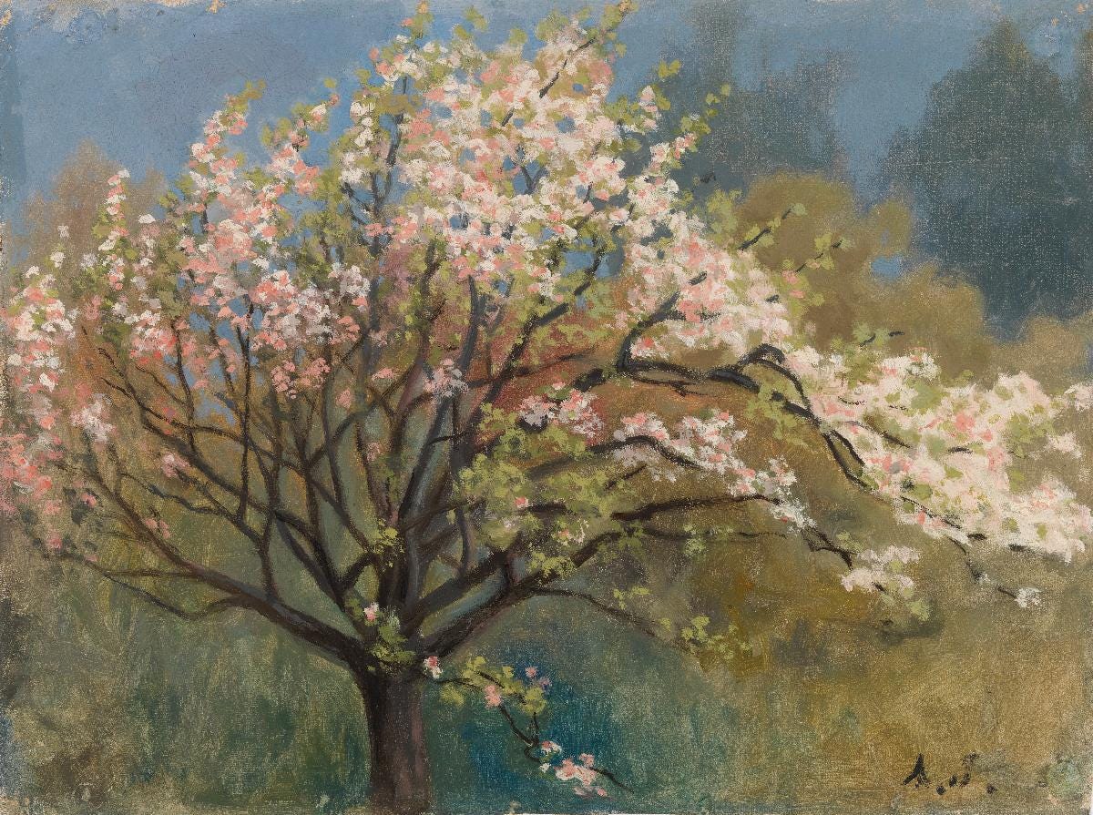 Fruit Tree in Blossom, Järnefelt Arvid | Finnish National Gallery, Finland