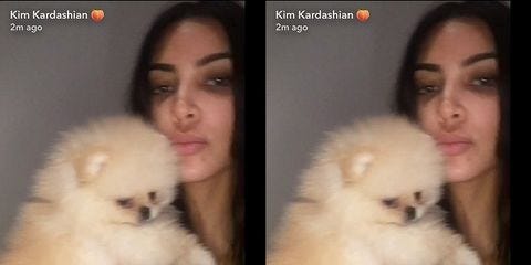 kim kardashian with northwest puppy