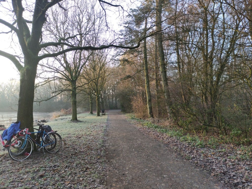 A wide path, by the lake pictured elsewhere. Trees on each side.