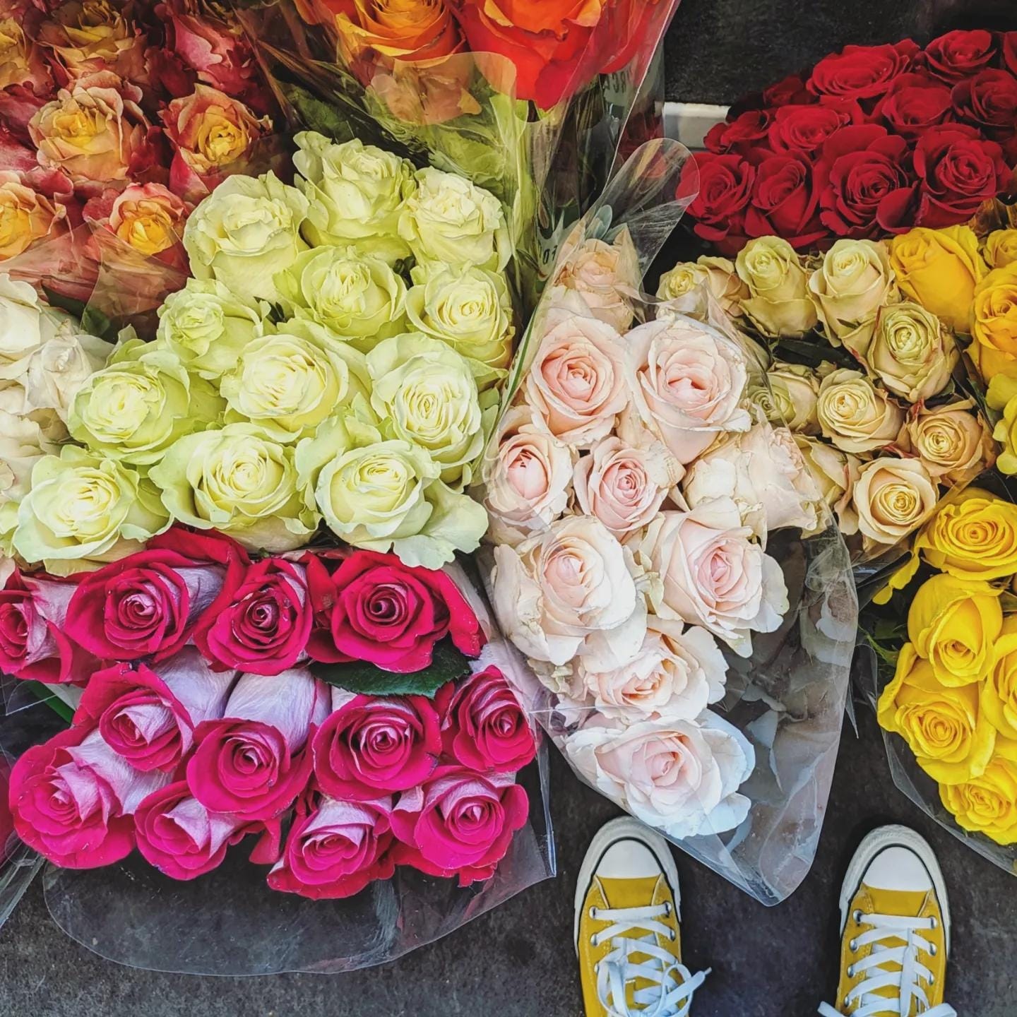 Photo of several bouquets of roses, of different colors, seen from above, with a pair of yellow sneakers peaking from the bottom right.