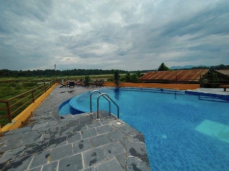 Une piscine dans le Parc du Chitwan Une piscine dans le Parc du Chitwan