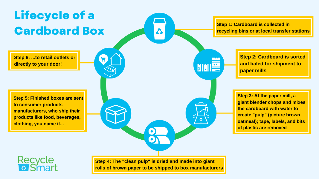Life of cardboard box infographic