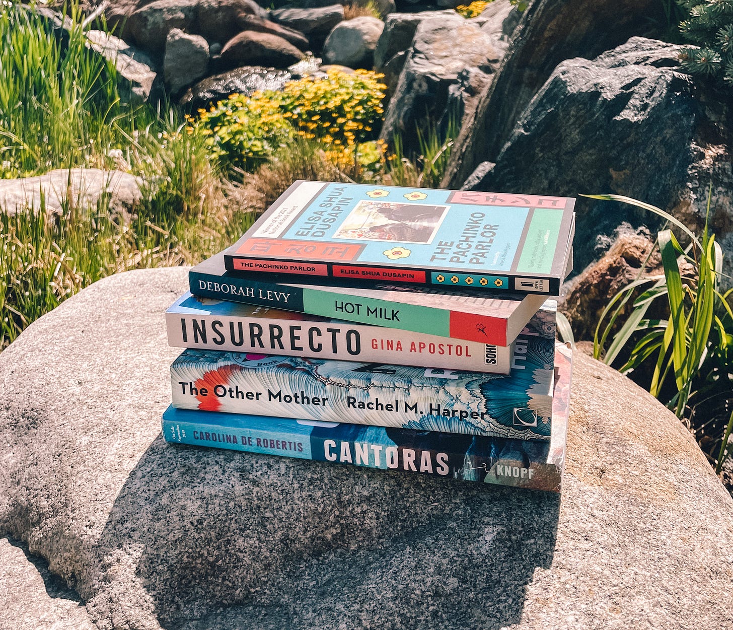 A stack of books sits on a rock amongst a background of blooming flowers. The stack includes: The Pachinko Parlor, Hot Milk, Insurrecto, The Other Mother, and Cantoras.