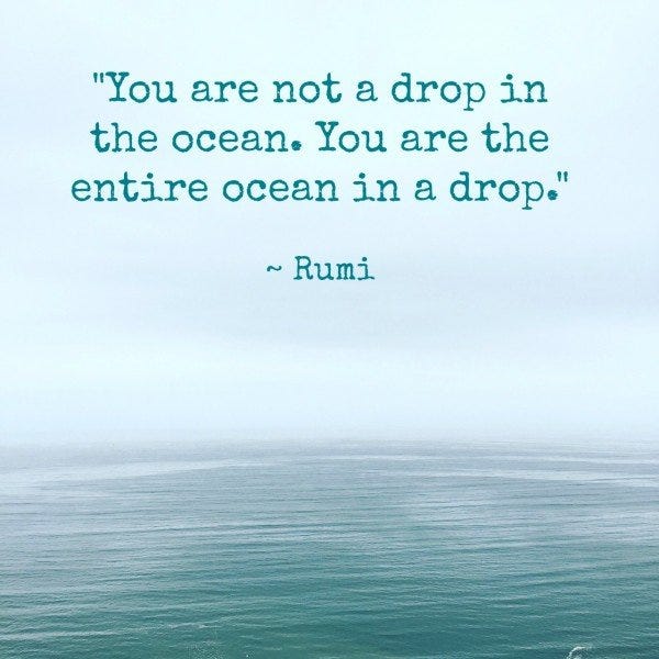 Raymond Salas on Twitter: "“You are not a drop in the ocean. You are the  entire ocean in a drop.” - Rumi #quote https://t.co/dsjzwl0pLr" / Twitter