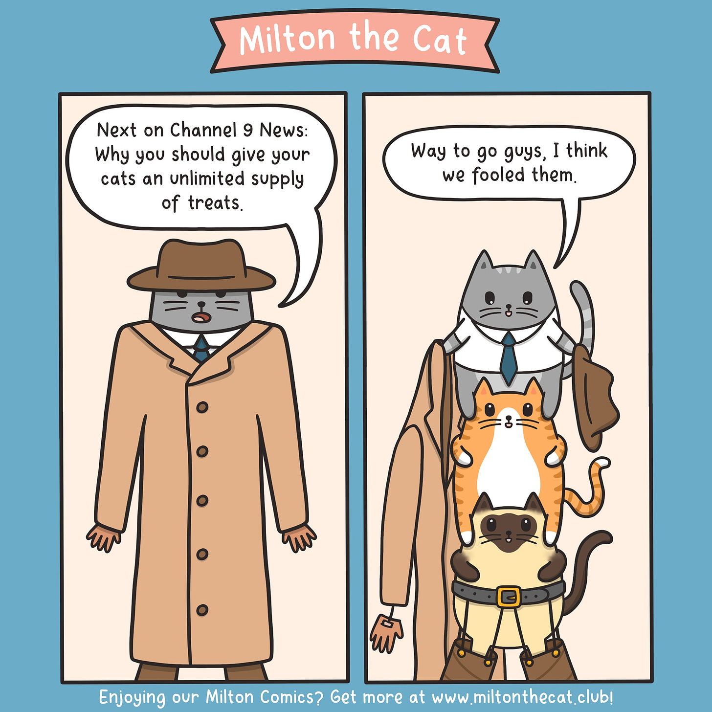 Three Cats in a Trenchcoat – Meowingtons