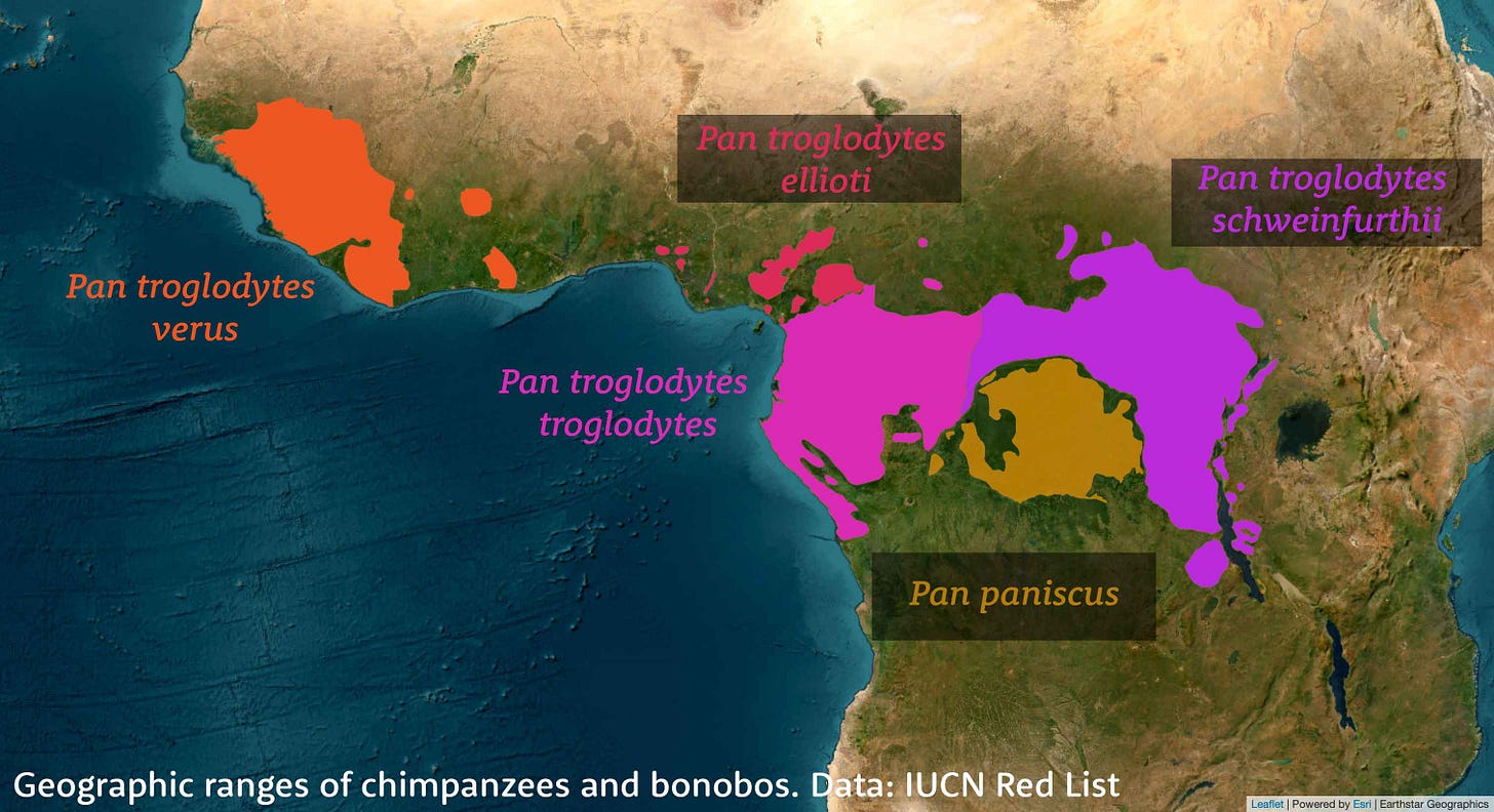 Map of Africa showing geographic range of chimpanzee and bonobo populations