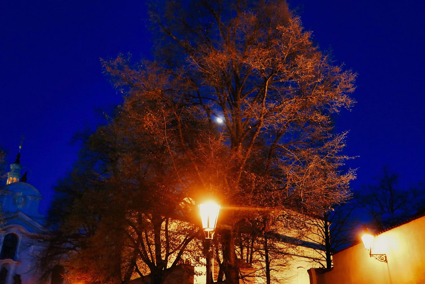 Street lights, lights in a steeple, and the full moon peeking through the trees light up the dark blue night sky