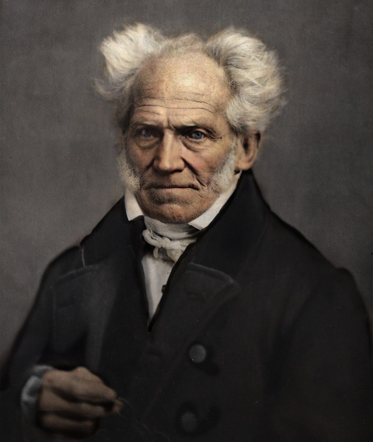 Arthur Schopenhauer - Wikipedia