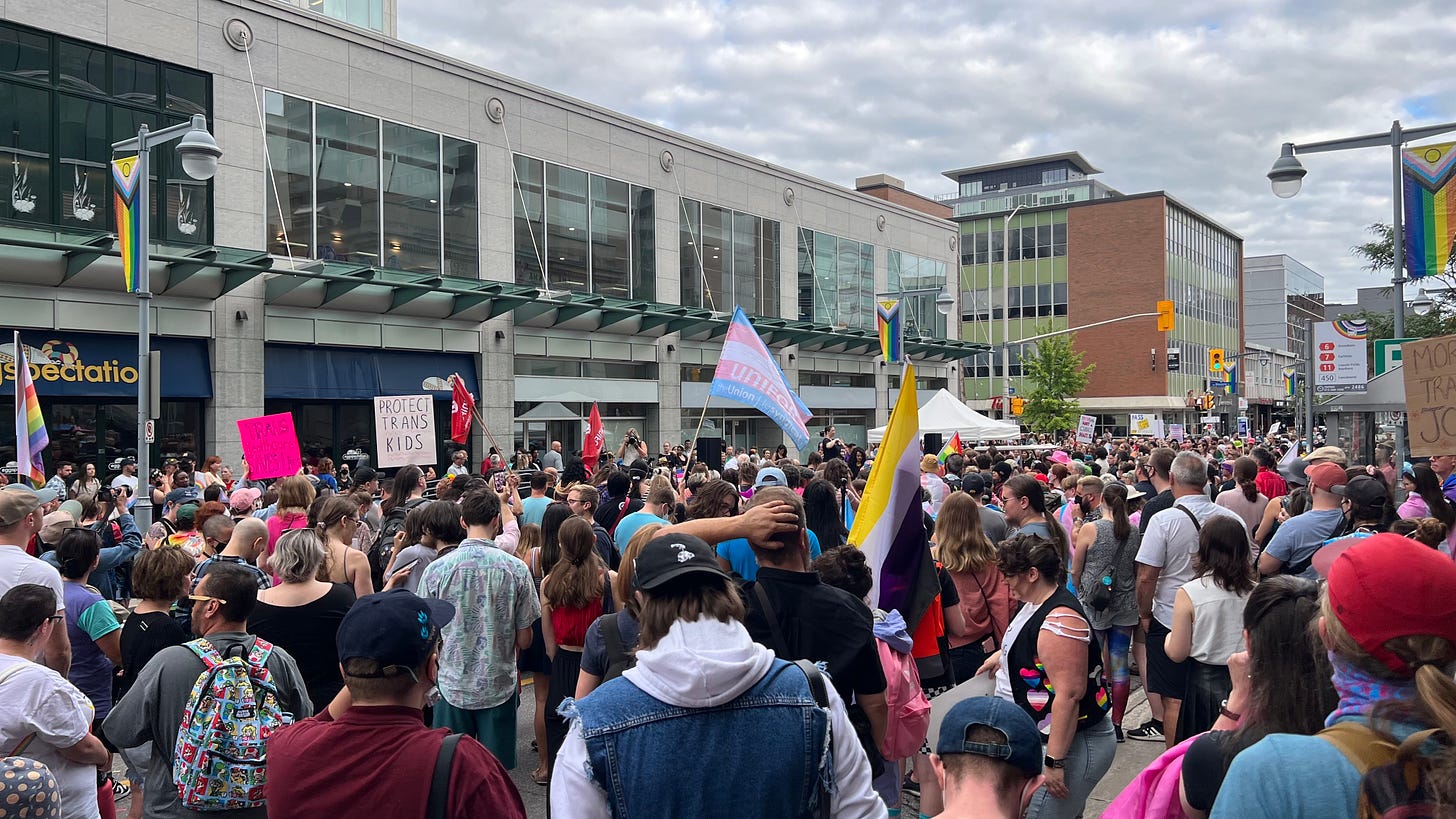 A large group of people gather and fly trans and pride flags.