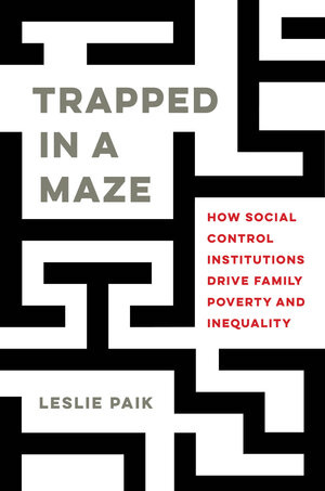 Trapped in a Maze by Leslie Paik