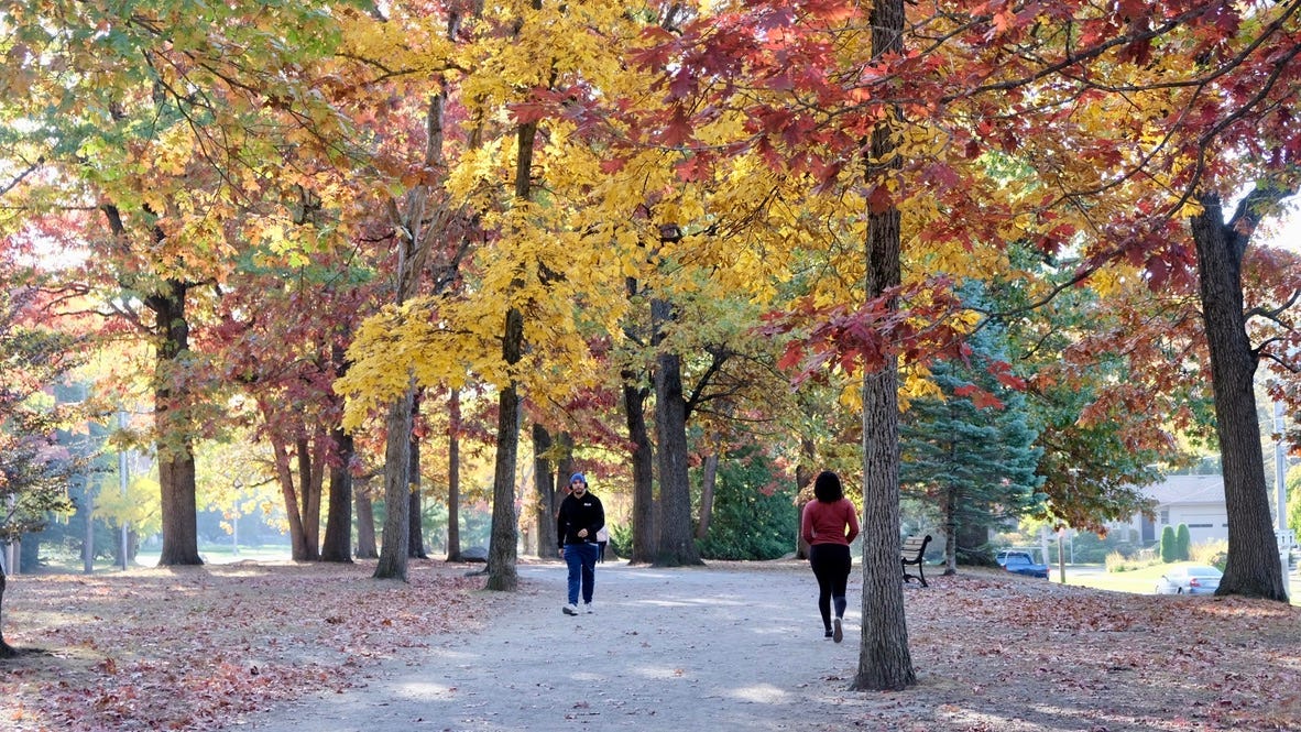 A man and a woman walk towards each other on a dirt path underneath yellow and red trees. Autumn leaves are scattered about both sides of the trail, on Blackstone Boulevard in Providence, Rhode Island.