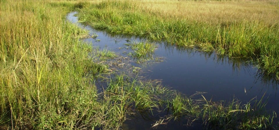 High Tide