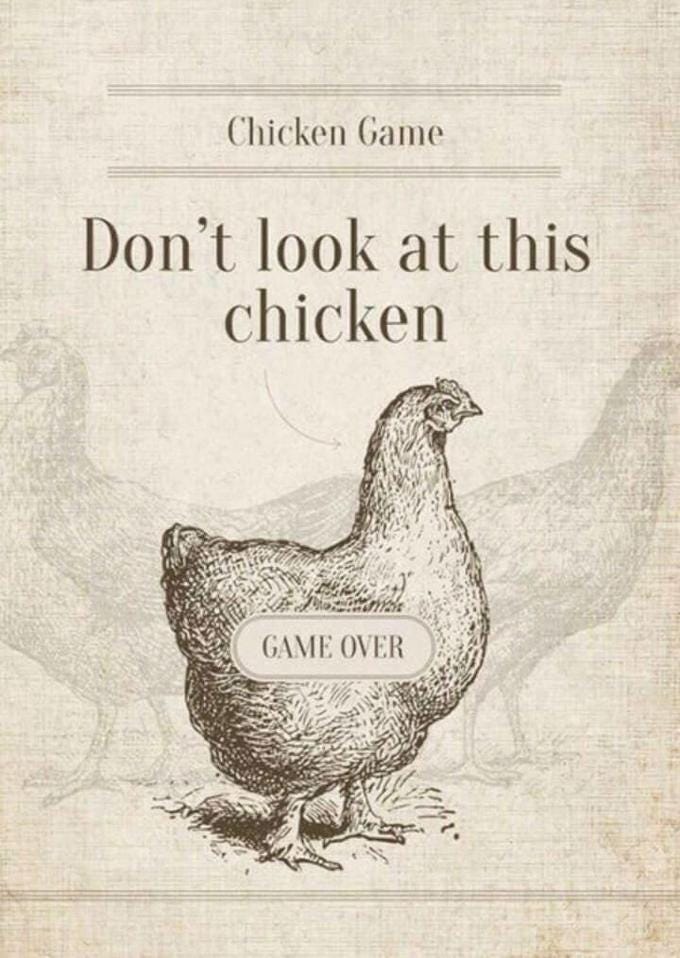 Chicken Game Don't look at this chicken GAME OVER Bird Chicken Galliformes Adaptation Fowl
