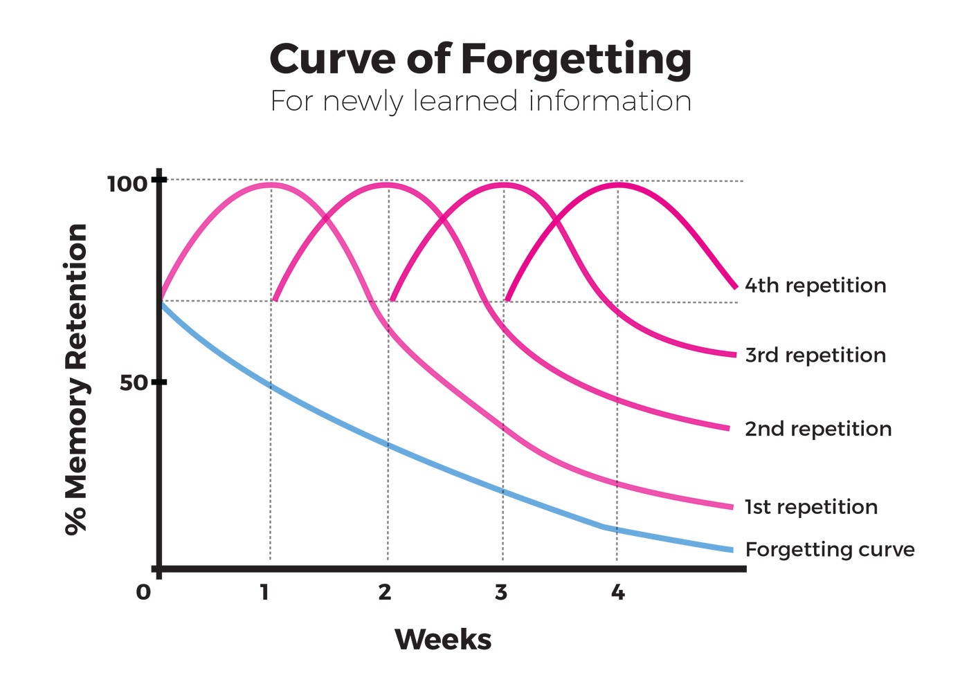 What you need to know… about The Curve of Forgetting | by How Do I? | Medium