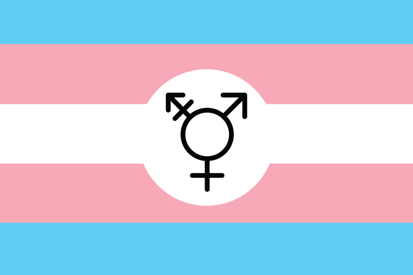 Gender-affirming healthcare is a fundamental right - The Cougar
