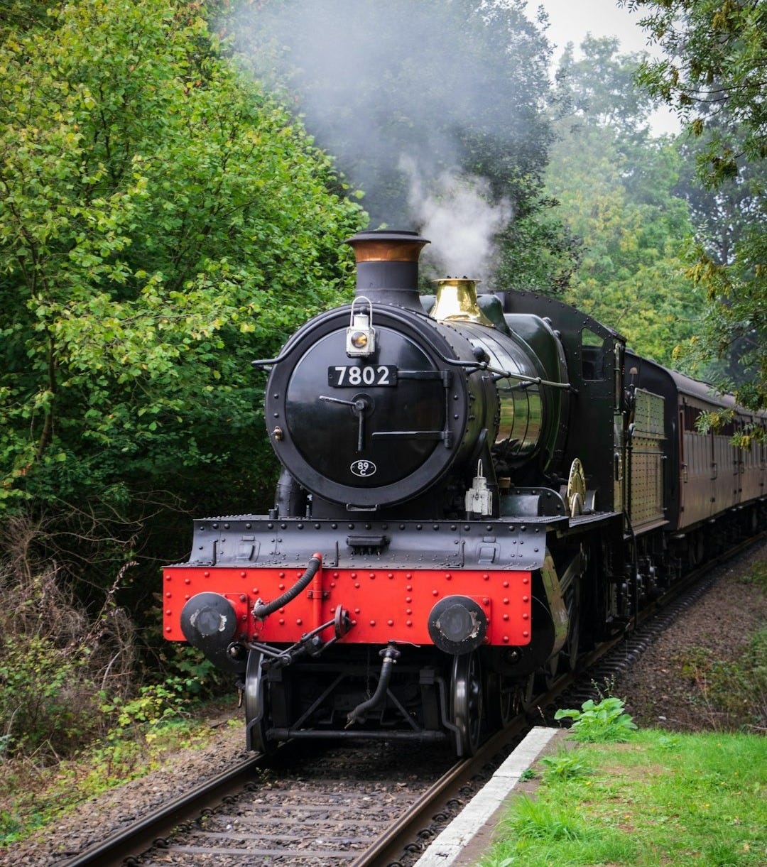 black and red train near trees