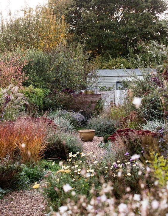 This may contain: a garden filled with lots of different types of flowers and plants next to a building