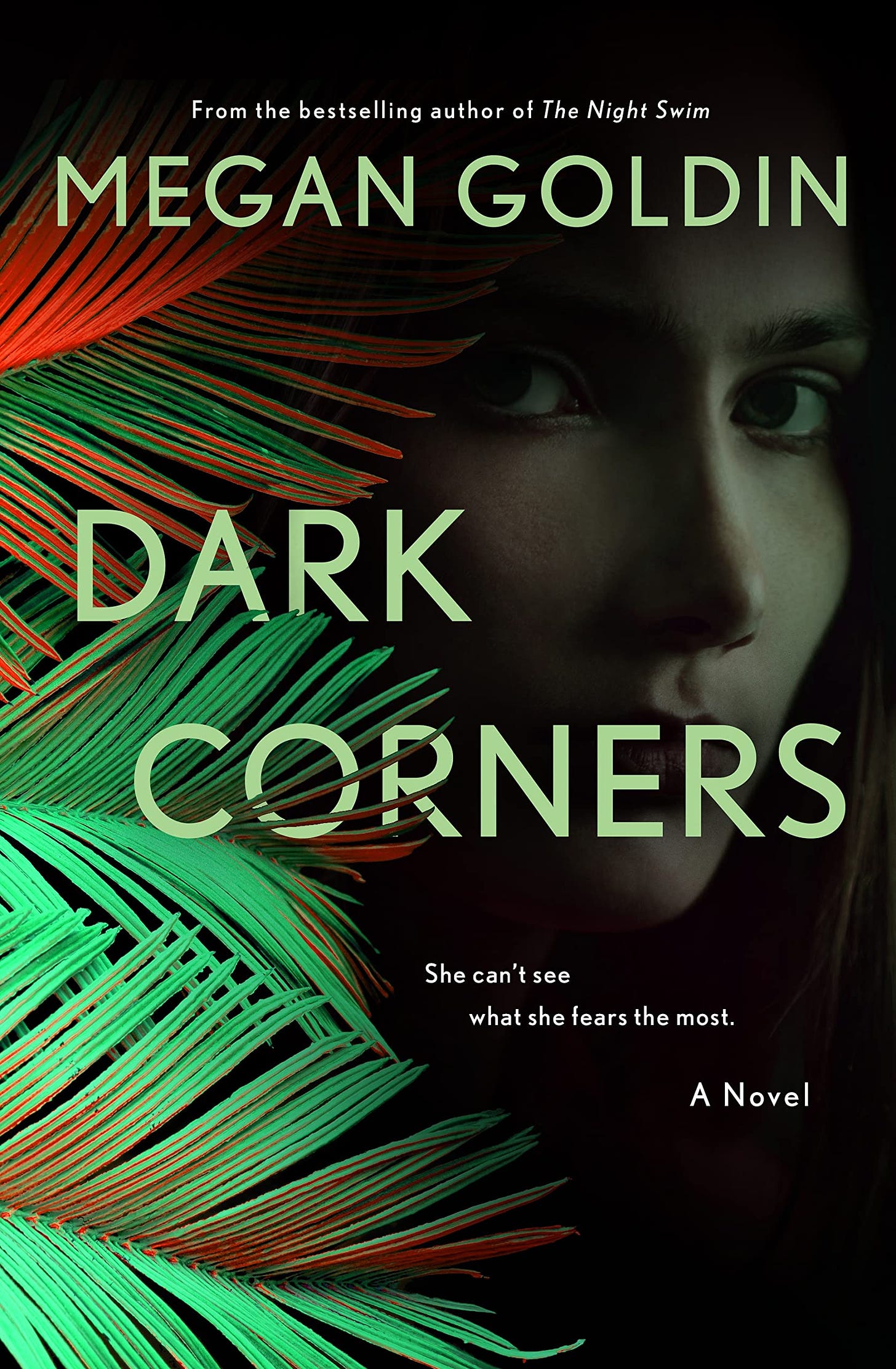 Dark Corners (Rachel Krall, #2) by Megan Goldin | Goodreads