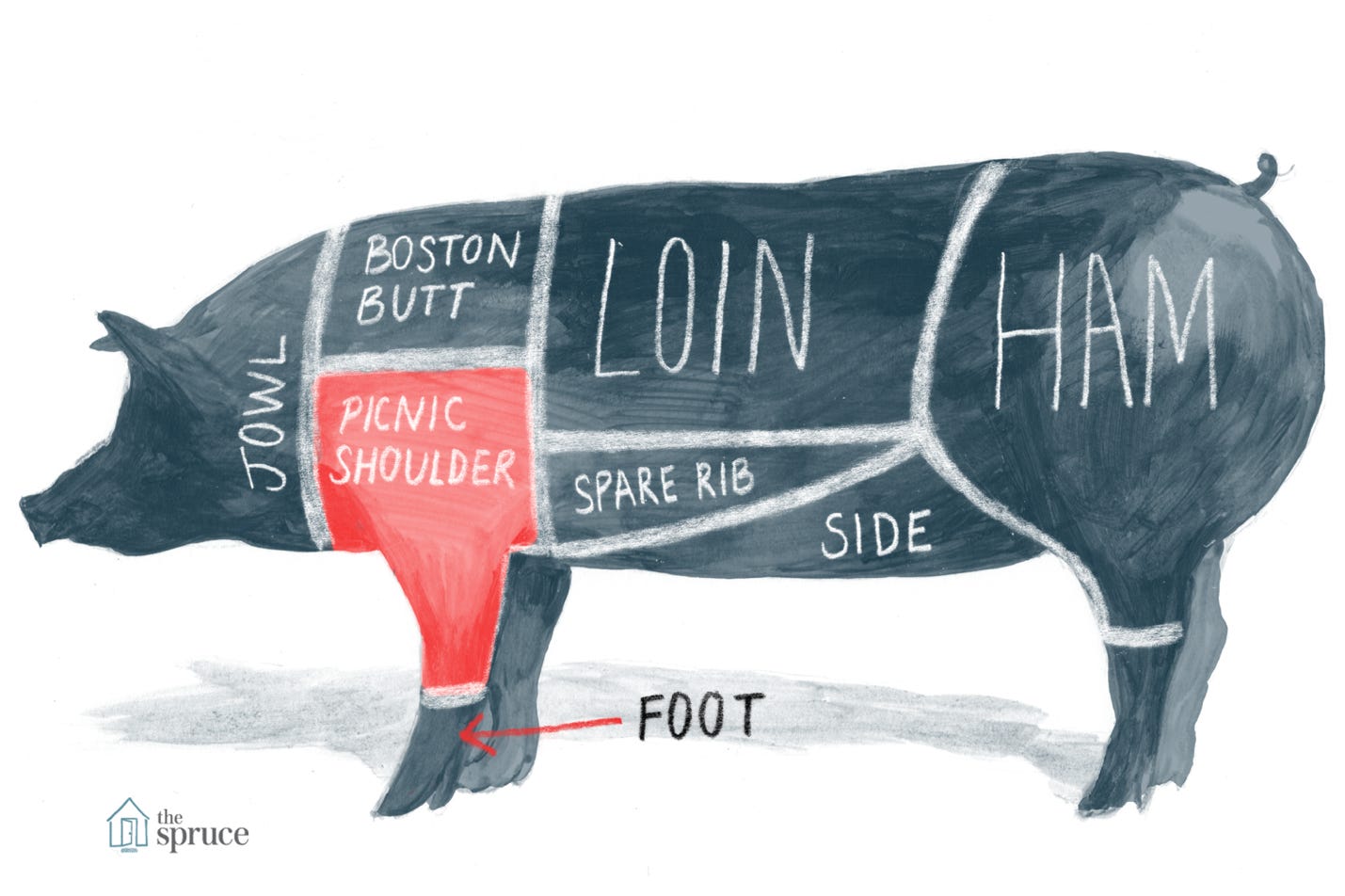 Illustrated diagram of the cuts of pork - highlighting the pork/picnic shoulder