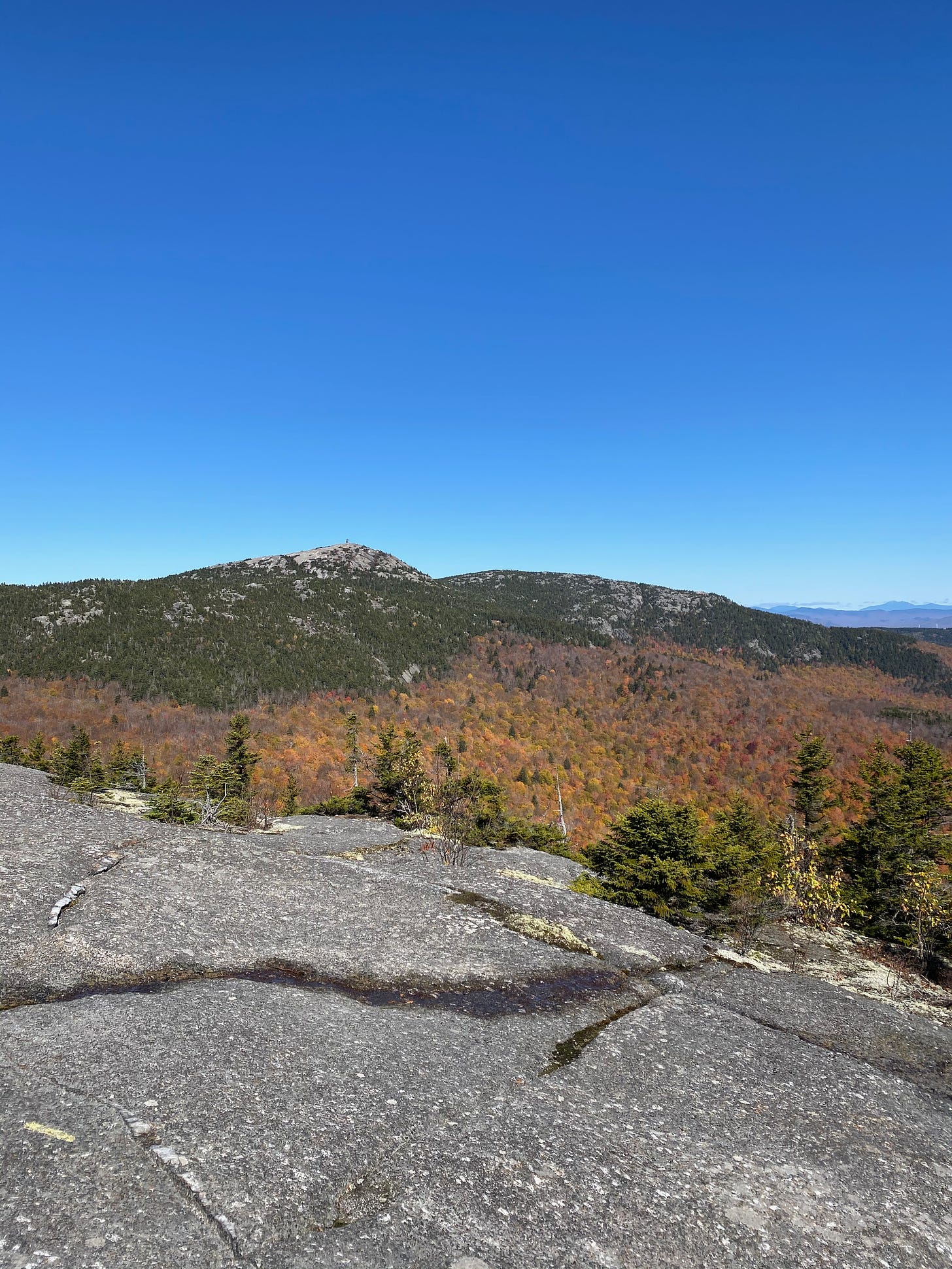 View of the bare summit of Mt. Cardigan, its slopes decked out in brilliant fall colors.